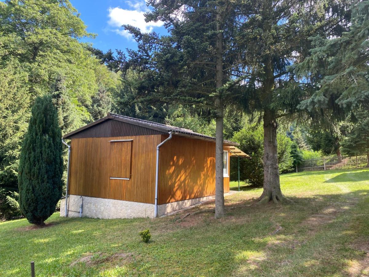Waldfrieden Bungalow Garnsdorf Ngoại thất bức ảnh