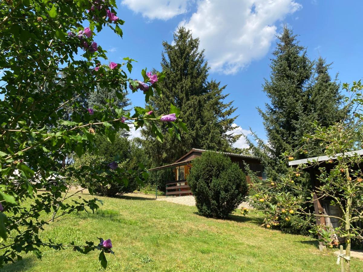 Waldfrieden Bungalow Garnsdorf Ngoại thất bức ảnh